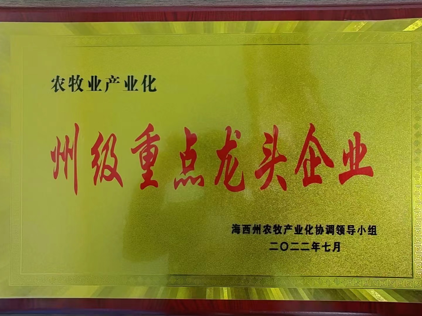 荣誉证书二